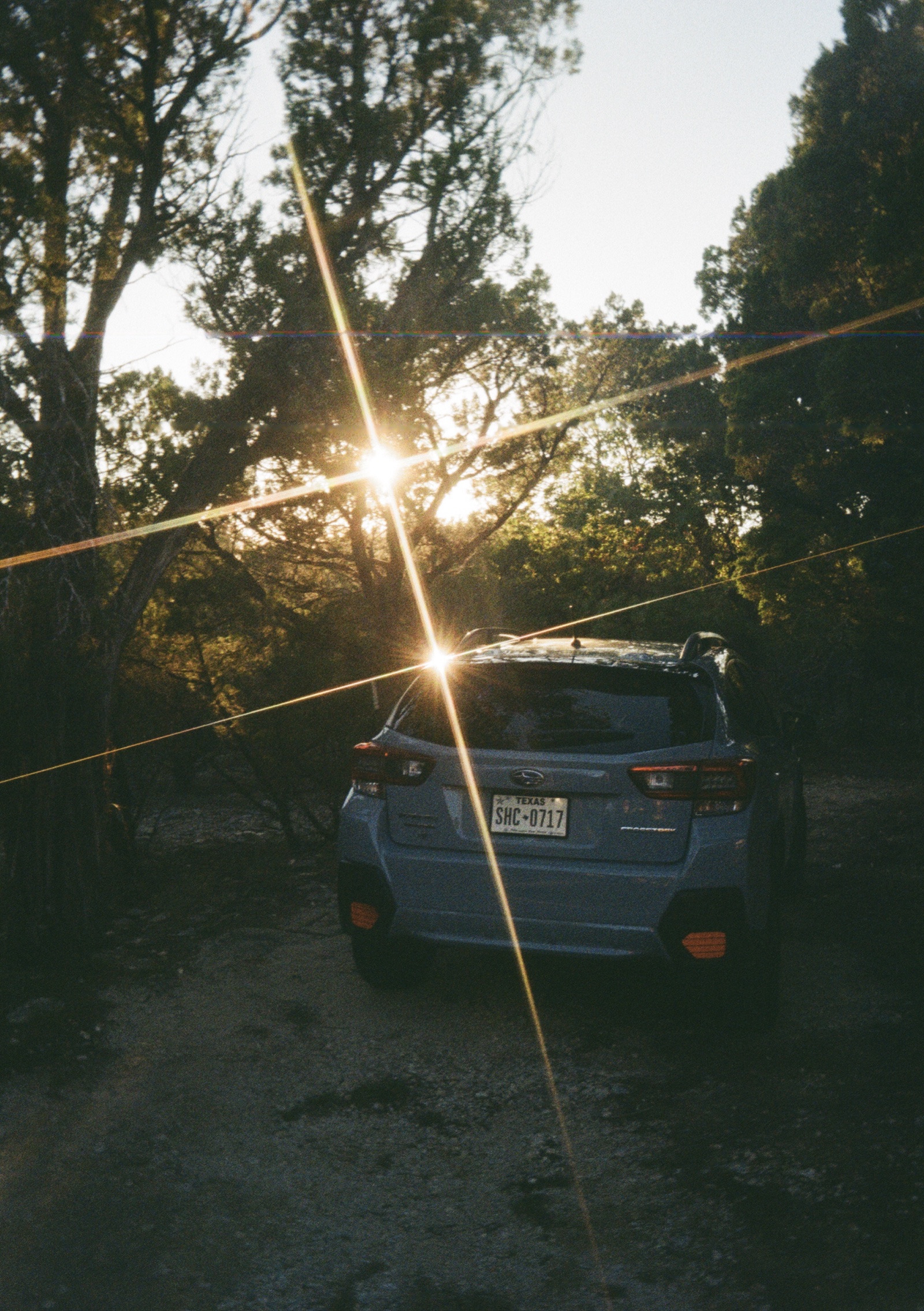 A Subaru surrounded by some trees, and light leaking through