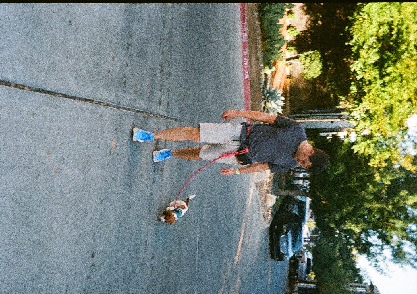 Me walking with our dog, crossing a street