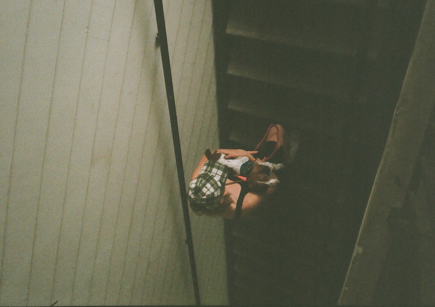 My wife carrying our dog up the staircase