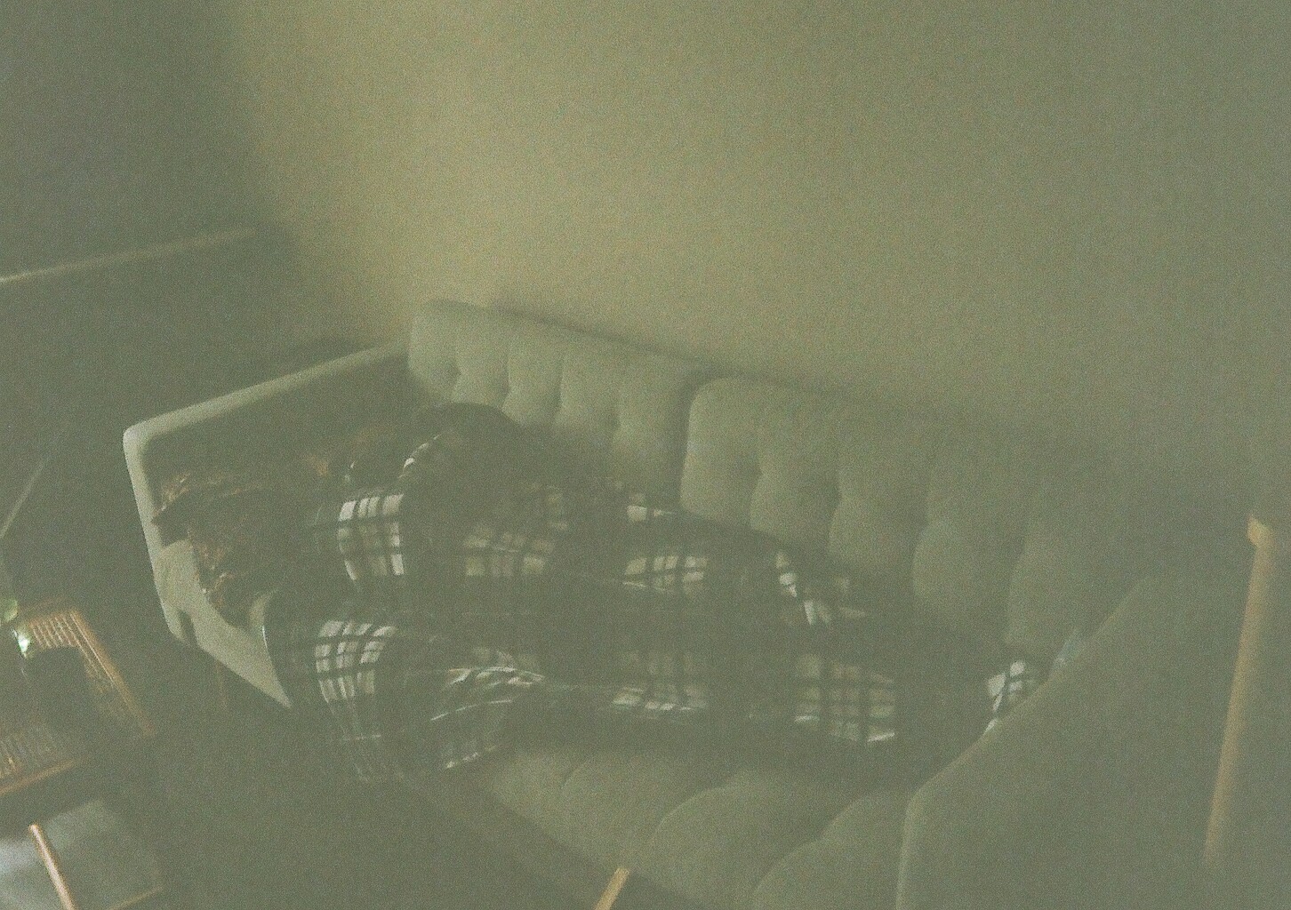 My wife, hidden under a blanket on the sofa