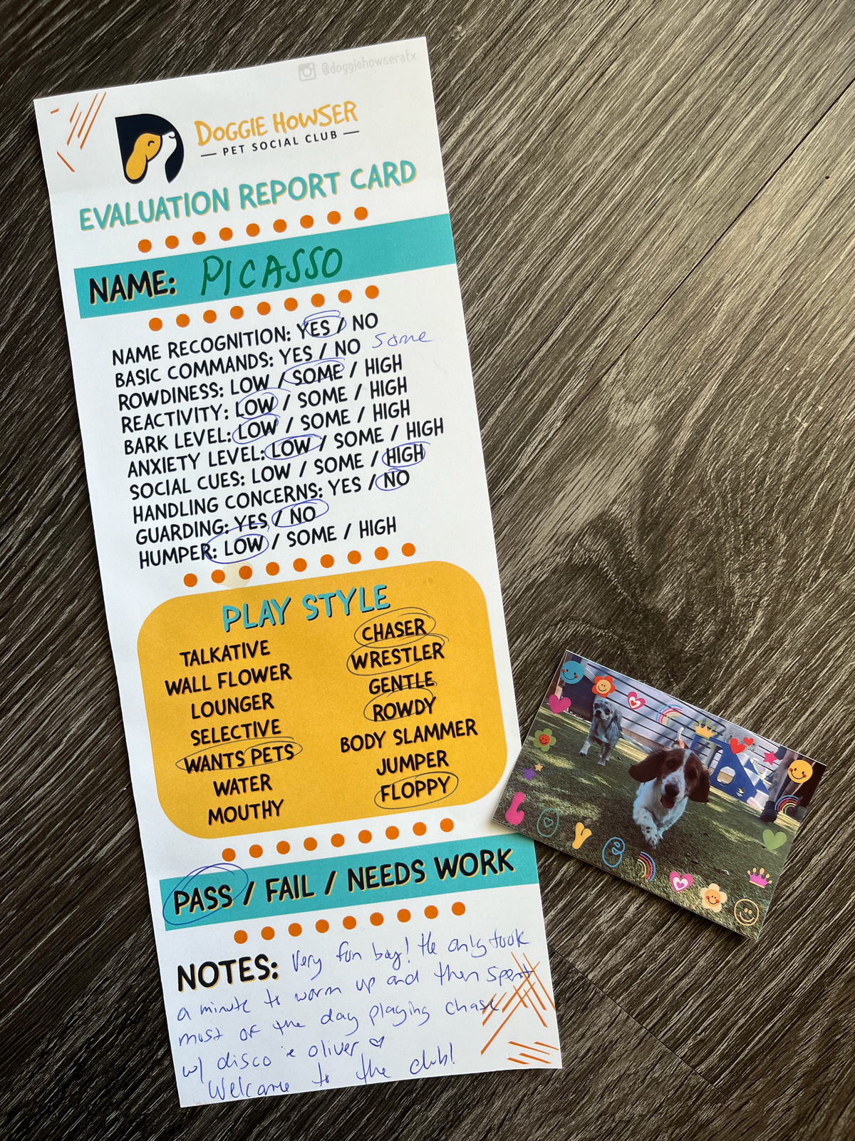 A behavioral report card for a small dachshund puppy