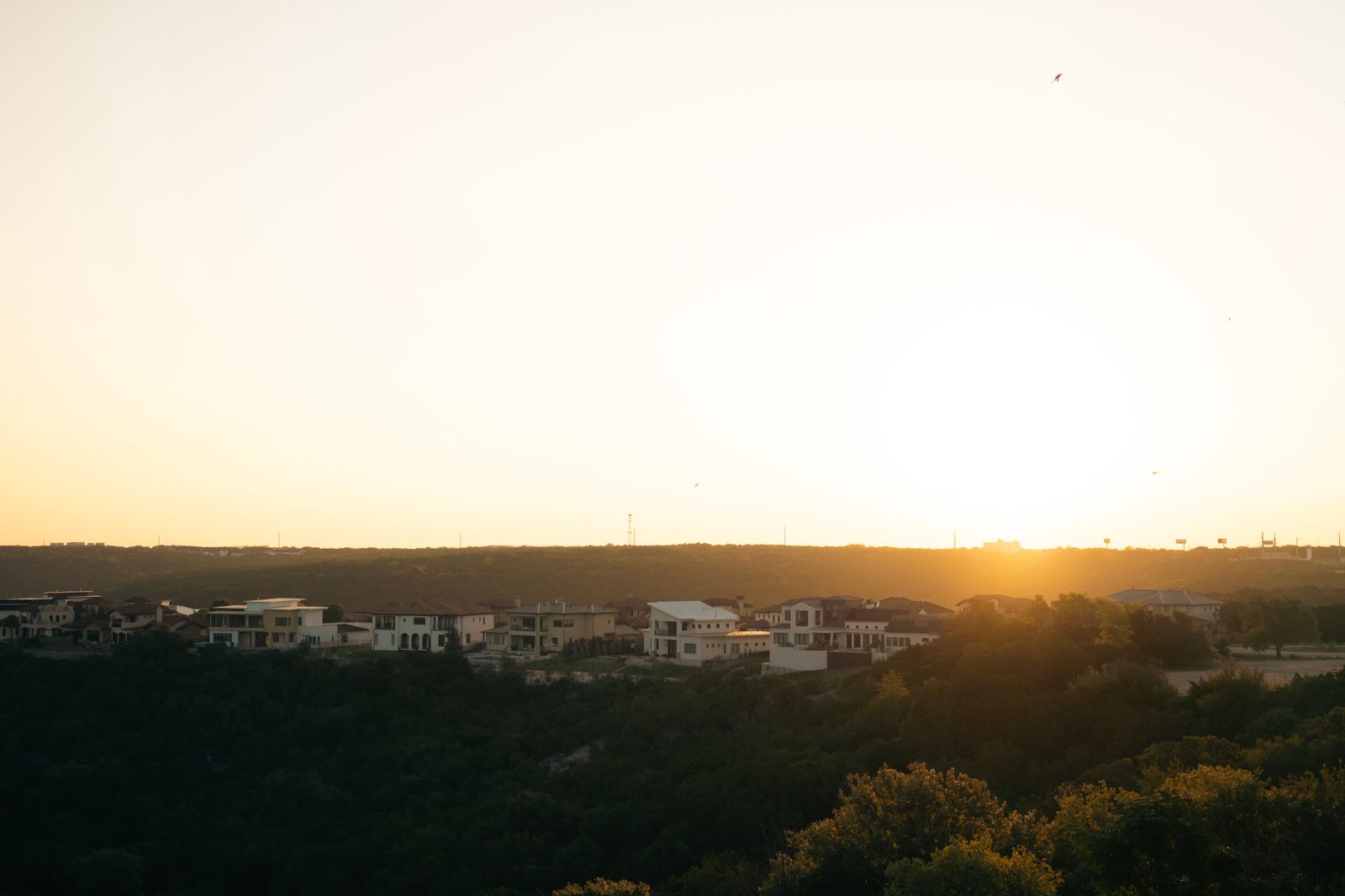 Sunrise over a bunch of trees and expensive homes